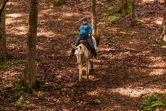 HodgesRace-5241