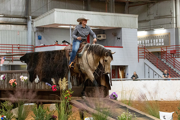 InternationalR1-5238