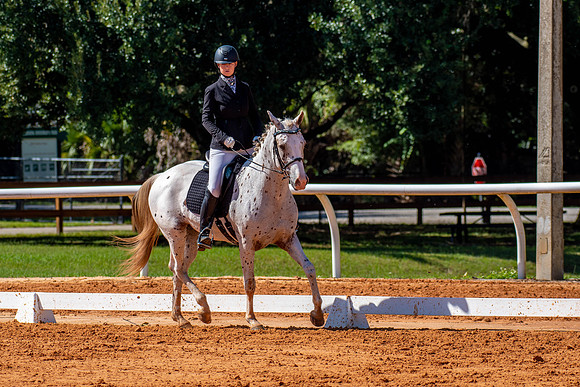 HorseShow-0601