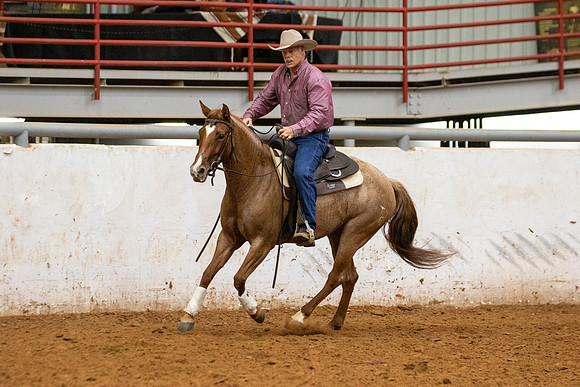 Mule&FuturityR2-378