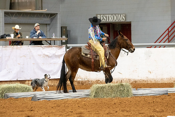 Mule&FuturityR2-175
