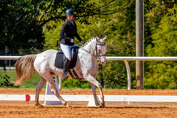 HorseShow-0608