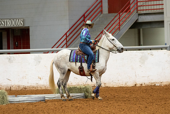 Mule&FuturityR2-143