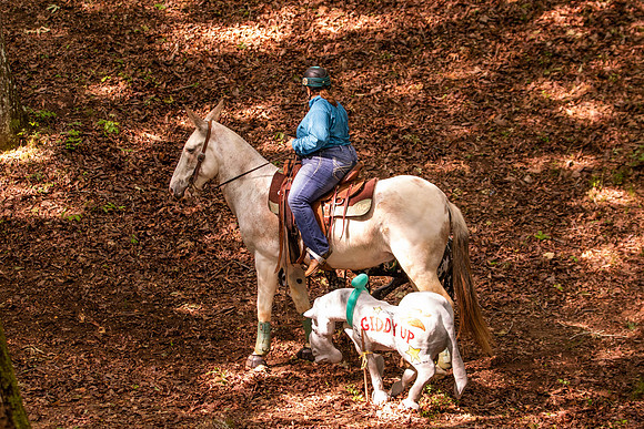 HodgesRace-5244