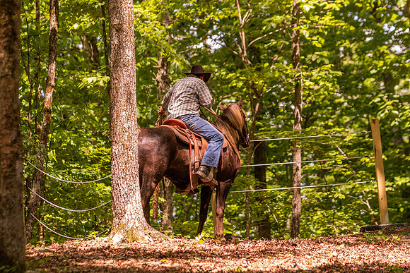 HodgesRace-6293