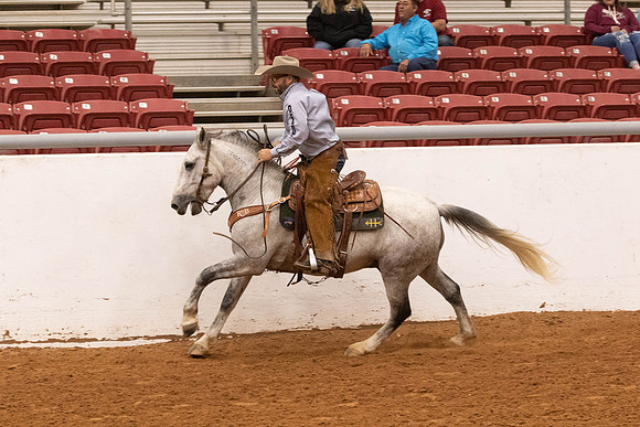Mustang-1423