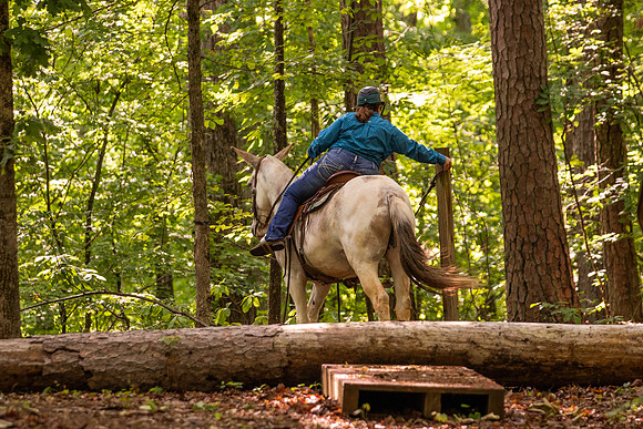 HodgesRace-5221