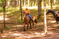 HodgesRace-5196