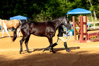 4HArenaWest-0805