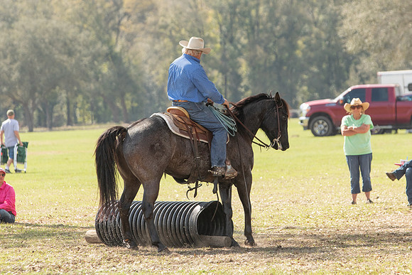 EXCAOcala-8572