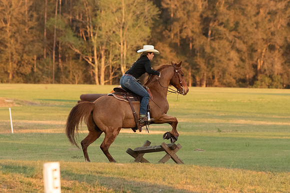 EXCAOcala-9850