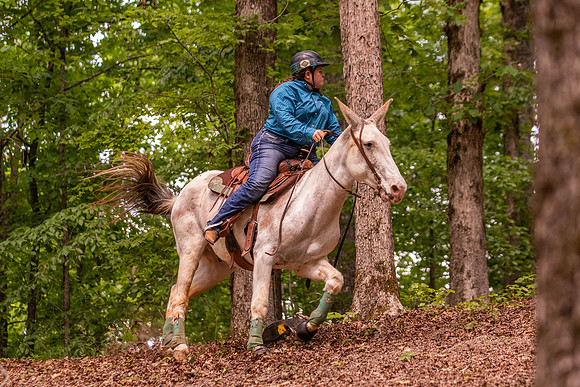 HodgesRace-6358