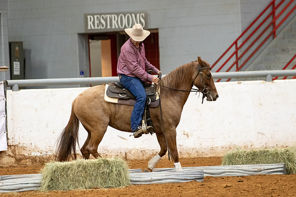 Mule&FuturityR2-382