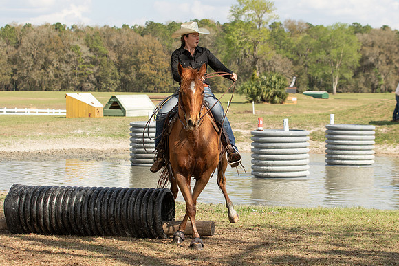 EXCAOcala-8801