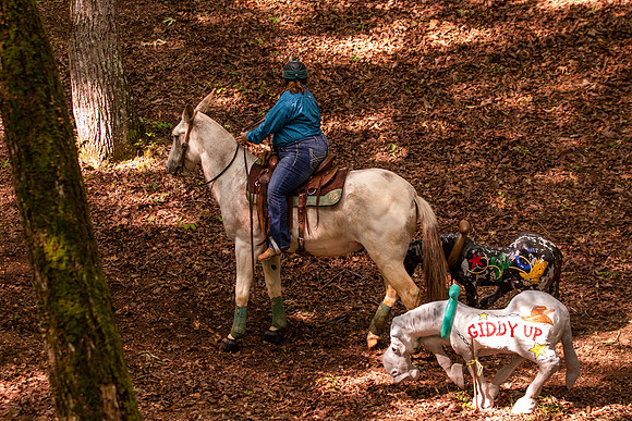 HodgesRace-5243