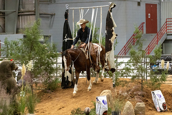MustangFinals-5411
