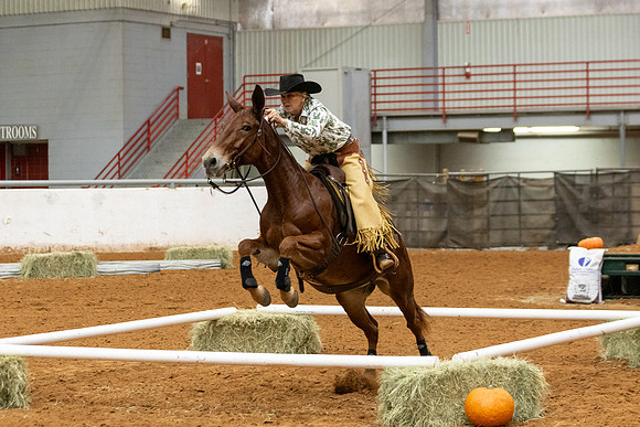 Mule&FuturityR2-131