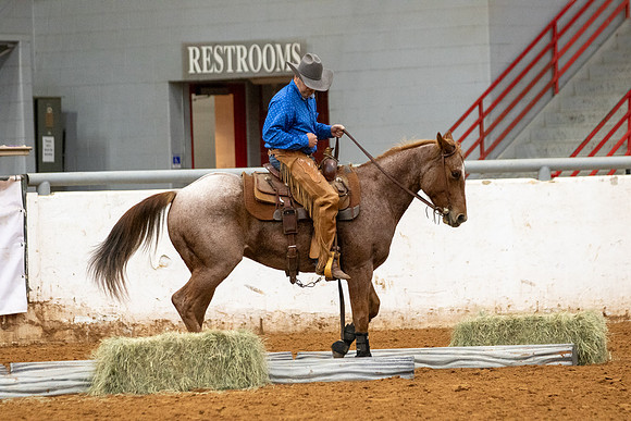 Mule&FuturityR2-438