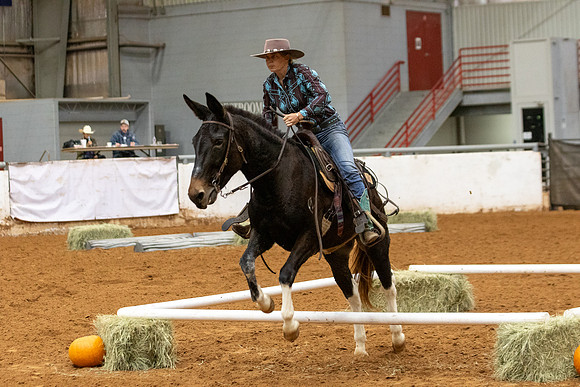 Mule&FuturityR2-211