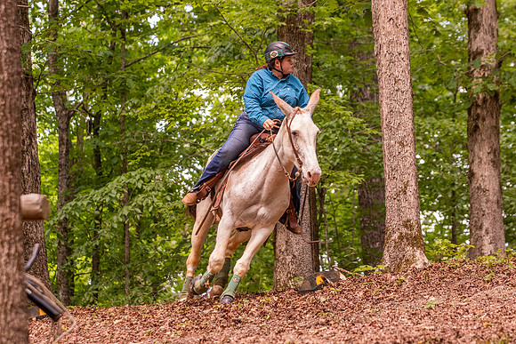 HodgesRace-6357