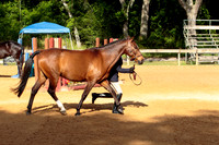 4HArenaWest-0811