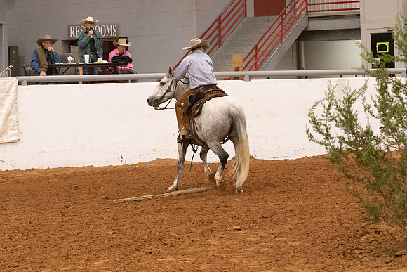 Mustang-1417