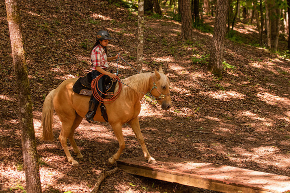 HodgesRace-5784