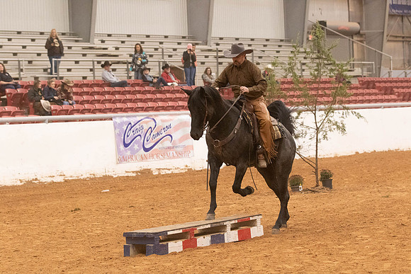 Futurity-2-7