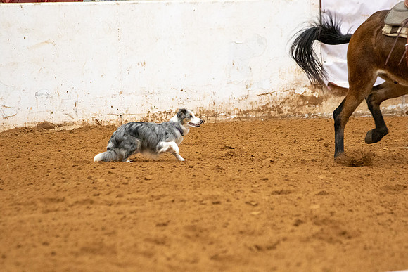 Mule&FuturityR2-176
