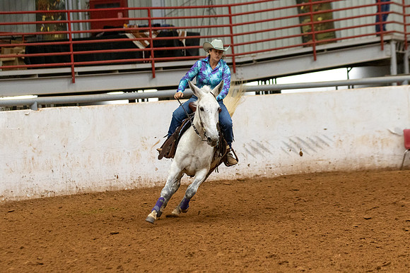 Mule&FuturityR2-167