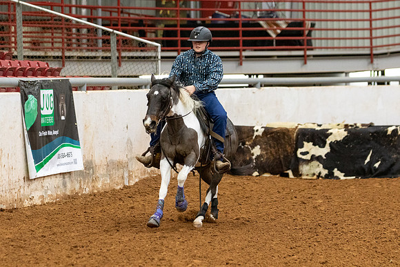 YGR1-209