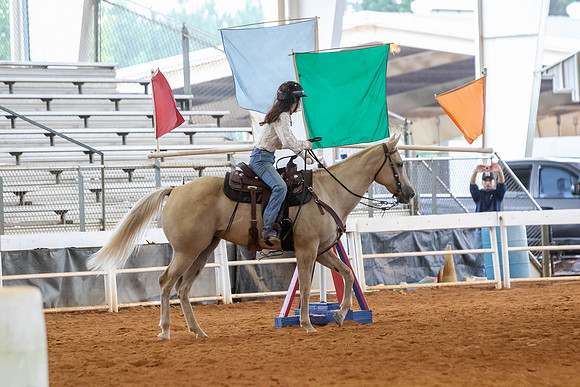 EXCARegionals-492