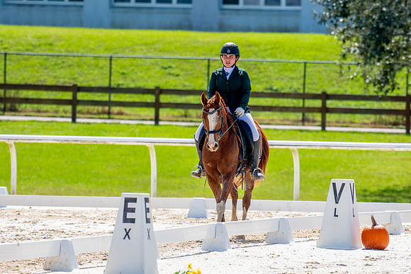 HorseShow-0672