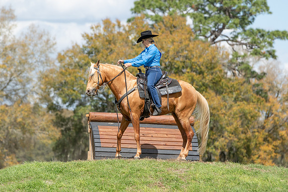 Lisa-7706