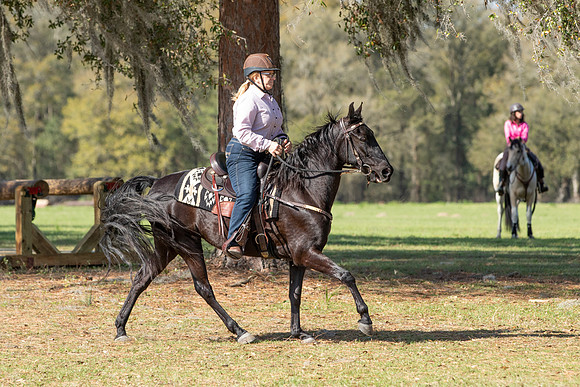 Terri-2526