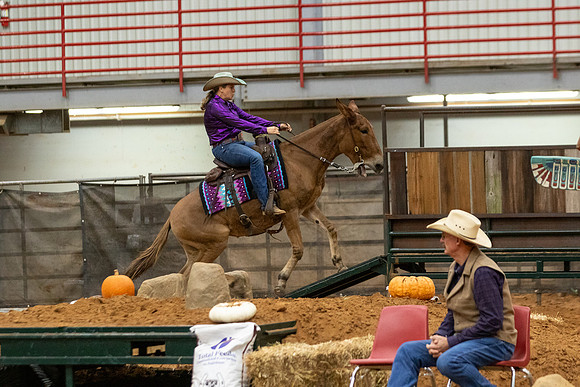 Mule&FuturityR2-225