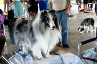 IABCAShow-4146