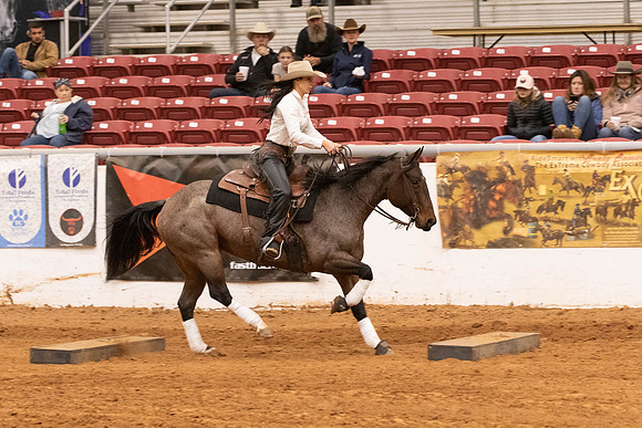 Novice-4448
