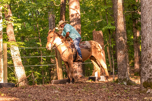 HodgesRace-7385