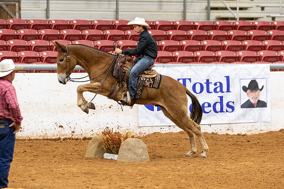 MuleFinals-11