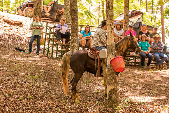 HodgesRace-6281