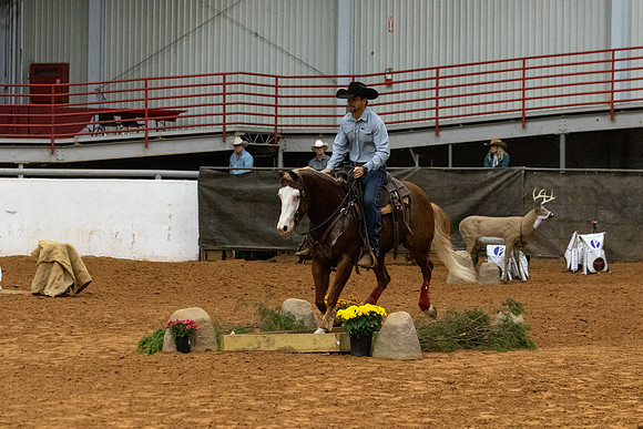 NonProR2-8408