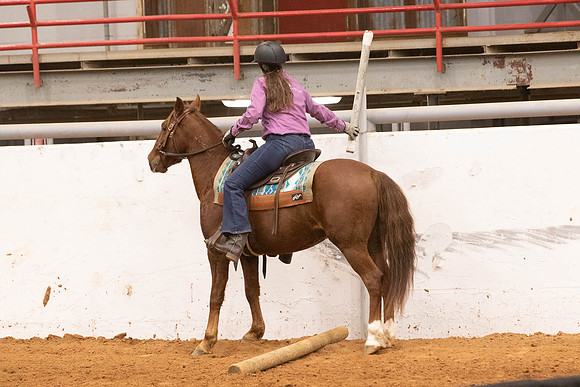 Mustang-4981