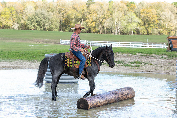 Tim-8326