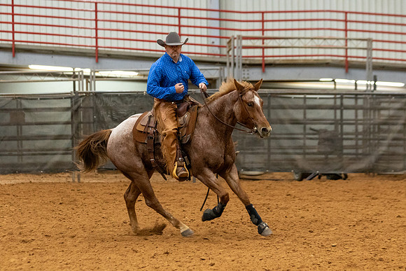 Mule&FuturityR2-445