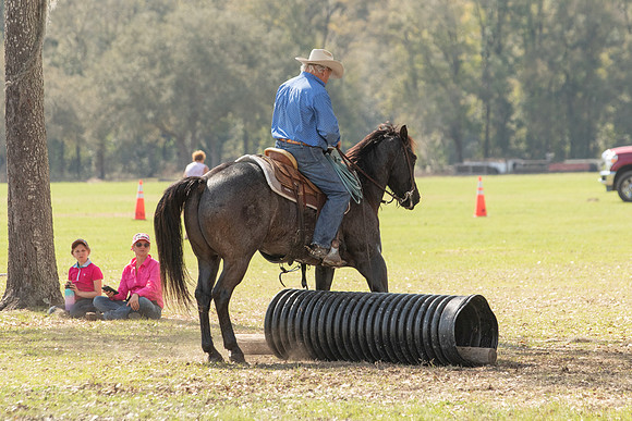 EXCAOcala-8574