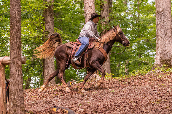 HodgesRace-6272