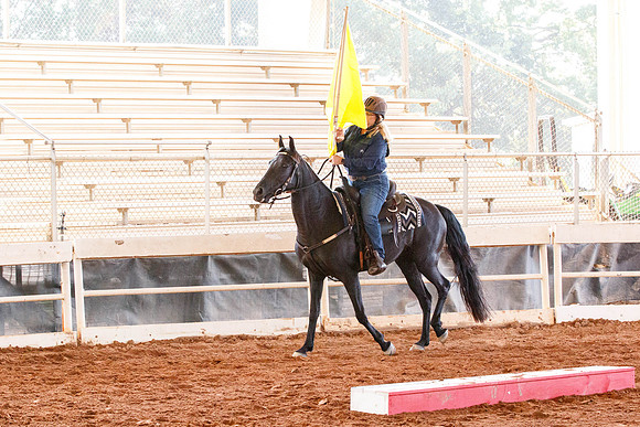Terri-4215