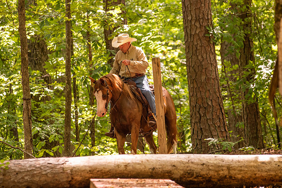 HodgesRace-5694