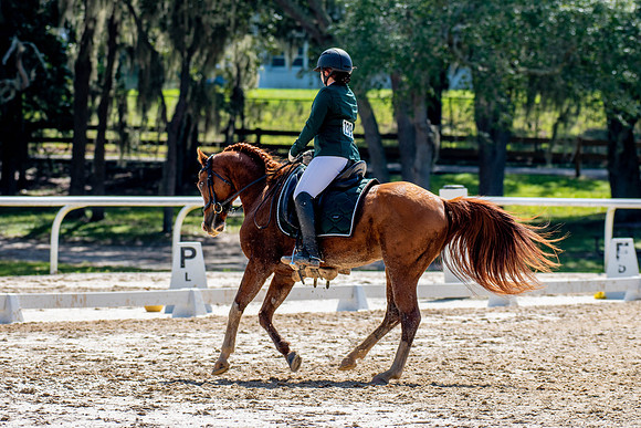 HorseShow-0669